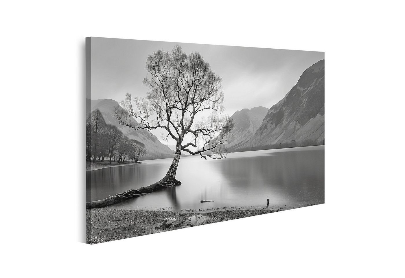 islandburner Leinwandbild, Einsamer Baum am nebligen See in Schwarzweiß von islandburner