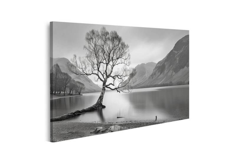 islandburner Leinwandbild, Einsamer Baum am nebligen See in Schwarzweiß von islandburner