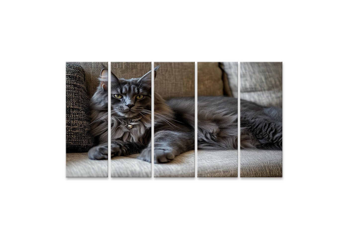 islandburner Leinwandbild, Majestätische graue Katze entspannt auf dem Sofa von islandburner