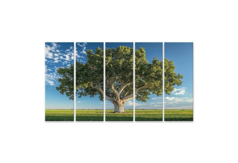 islandburner Leinwandbild, Majestätischer Baum in weitem Feld unter blauem Himmel von islandburner
