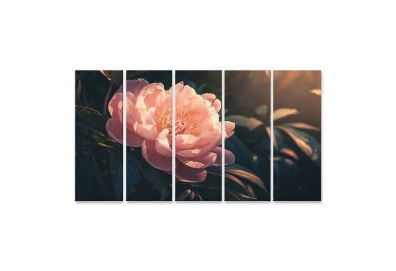 islandburner Leinwandbild, Rosa Blume im sanften Sonnenlicht von islandburner