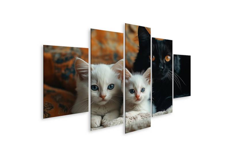 islandburner Leinwandbild, Schwarze Katze mit weißen Kätzchen auf orange Couch islandburner Leinwandbild, Schwarze Katze mit weißen Kätzchen auf orange Couch von islandburner