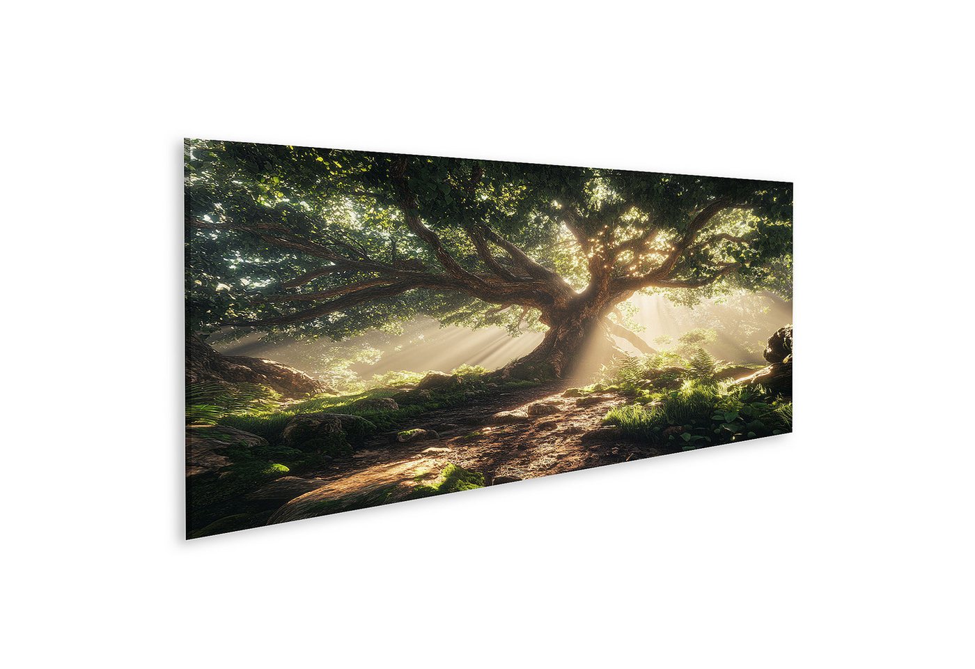 islandburner Leinwandbild, Sonnendurchfluteter magischer Baum im Wald von islandburner