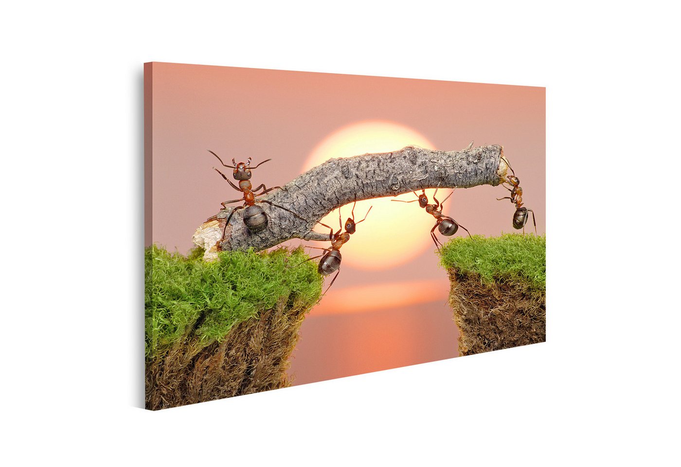 islandburner Leinwandbild Ameisen Brücke bei Sonnenuntergang Natur Wunder im Abendlicht Wandbild islandburner Leinwandbild Ameisen Brücke bei Sonnenuntergang Natur Wunder im Abendlicht Wandbild von islandburner