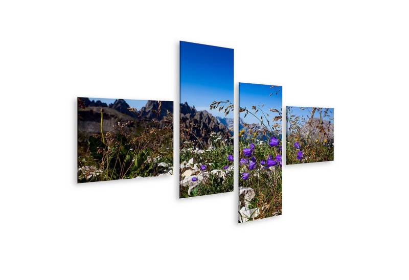 islandburner Leinwandbild Bergwiese mit blauen Blumen und felsigen Gipfeln im Hintergrund von islandburner