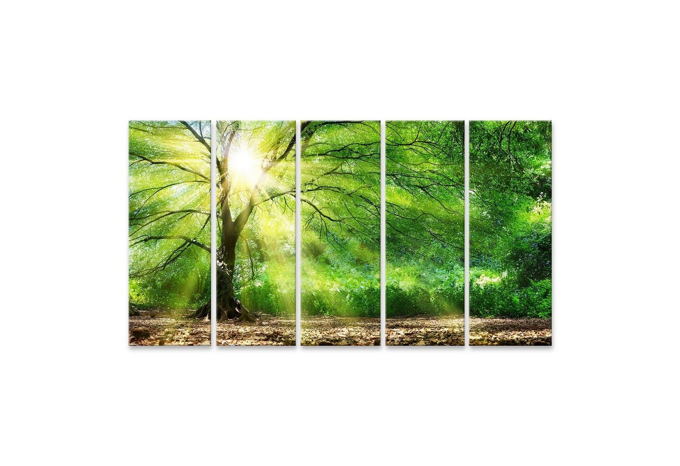 islandburner Leinwandbild Bild auf Leinwand Baum Mit Sonnenschein Im Wilden Wald Wandbild Leinw von islandburner