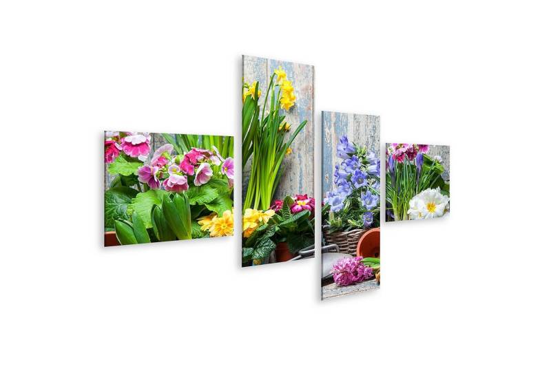 islandburner Leinwandbild Bild auf Leinwand Blumen pflanzen in Topf mit Erde oder Erde im Hinter von islandburner