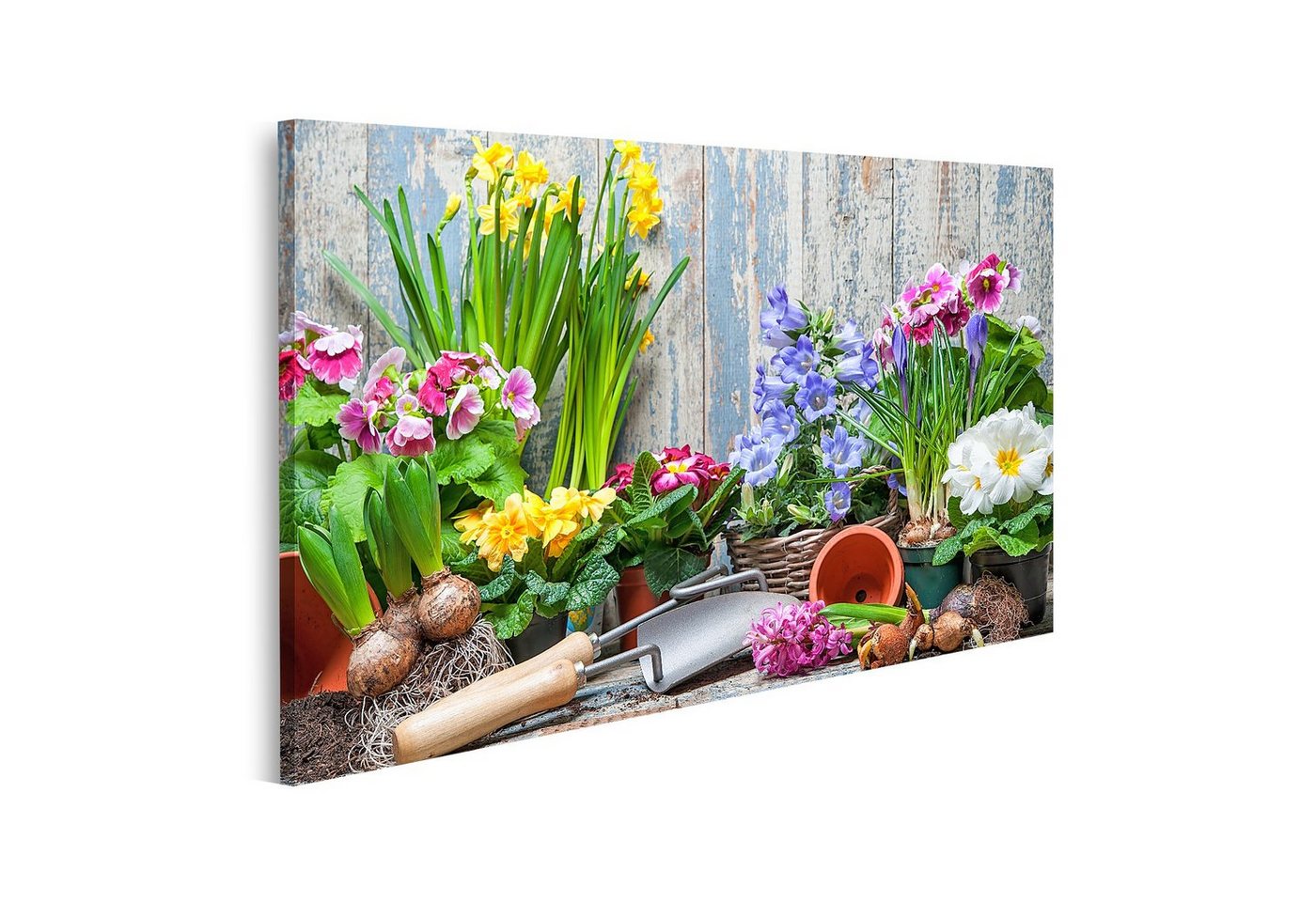 islandburner Leinwandbild Bild auf Leinwand Blumengarten Blumen pflanzen Topf Erde Erde Hinterho von islandburner