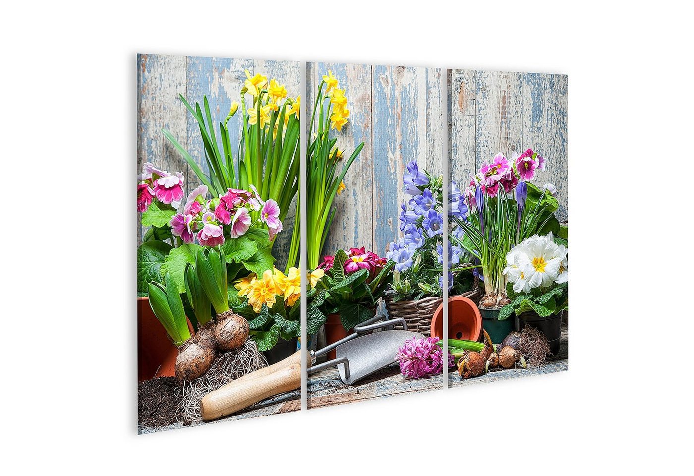 islandburner Leinwandbild Bild auf Leinwand Blumengarten Blumen pflanzen Topf Erde Erde Hinterho von islandburner