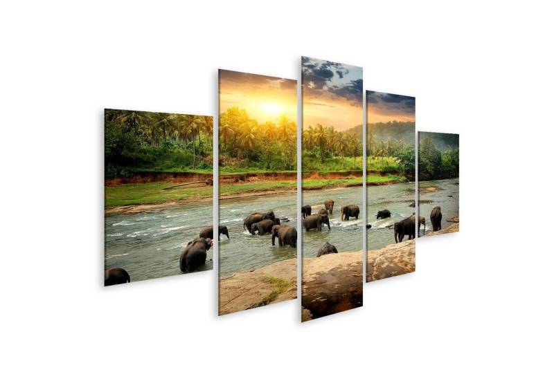islandburner Leinwandbild Bild auf Leinwand Elefanten Dschungel Herde Badende Fluss Sri Lanka Wa von islandburner