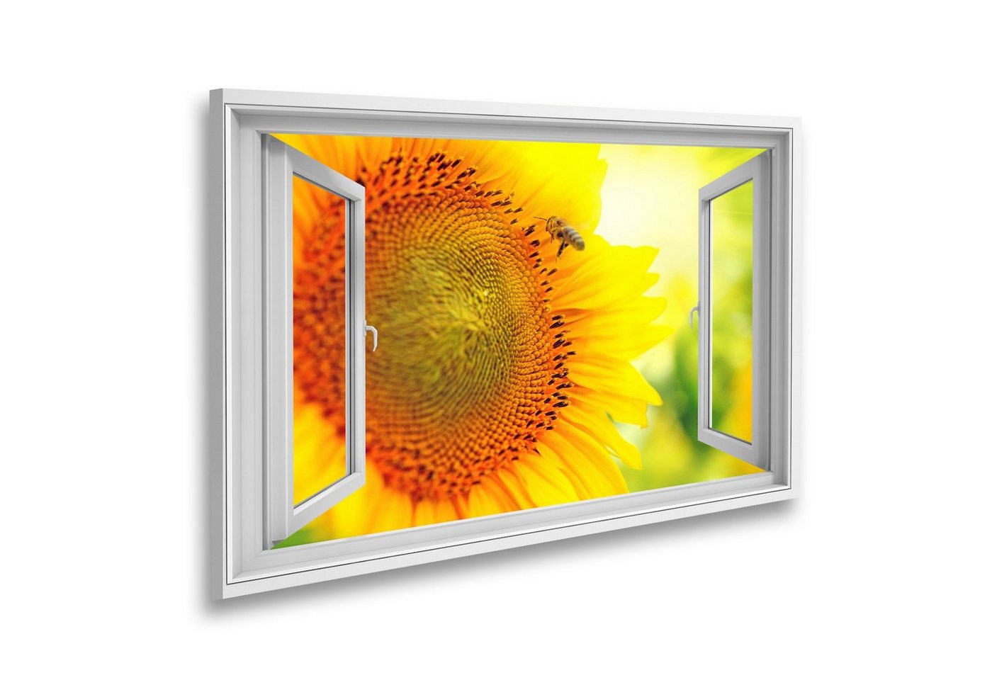 islandburner Leinwandbild Fensterblick Schöne Sonnenblumen blühen auf dem Feld, auf dem Sonnenbl von islandburner