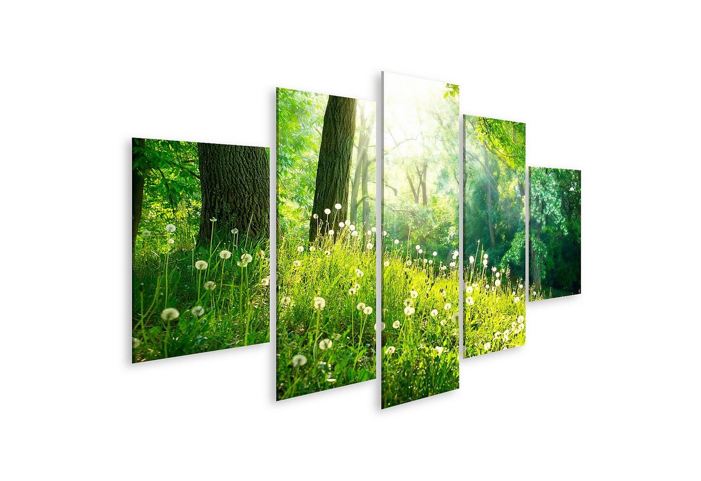 islandburner Leinwandbild Bild auf Leinwand Frühling Natur Schöne Landschaft Grünes Gras und Bäu von islandburner