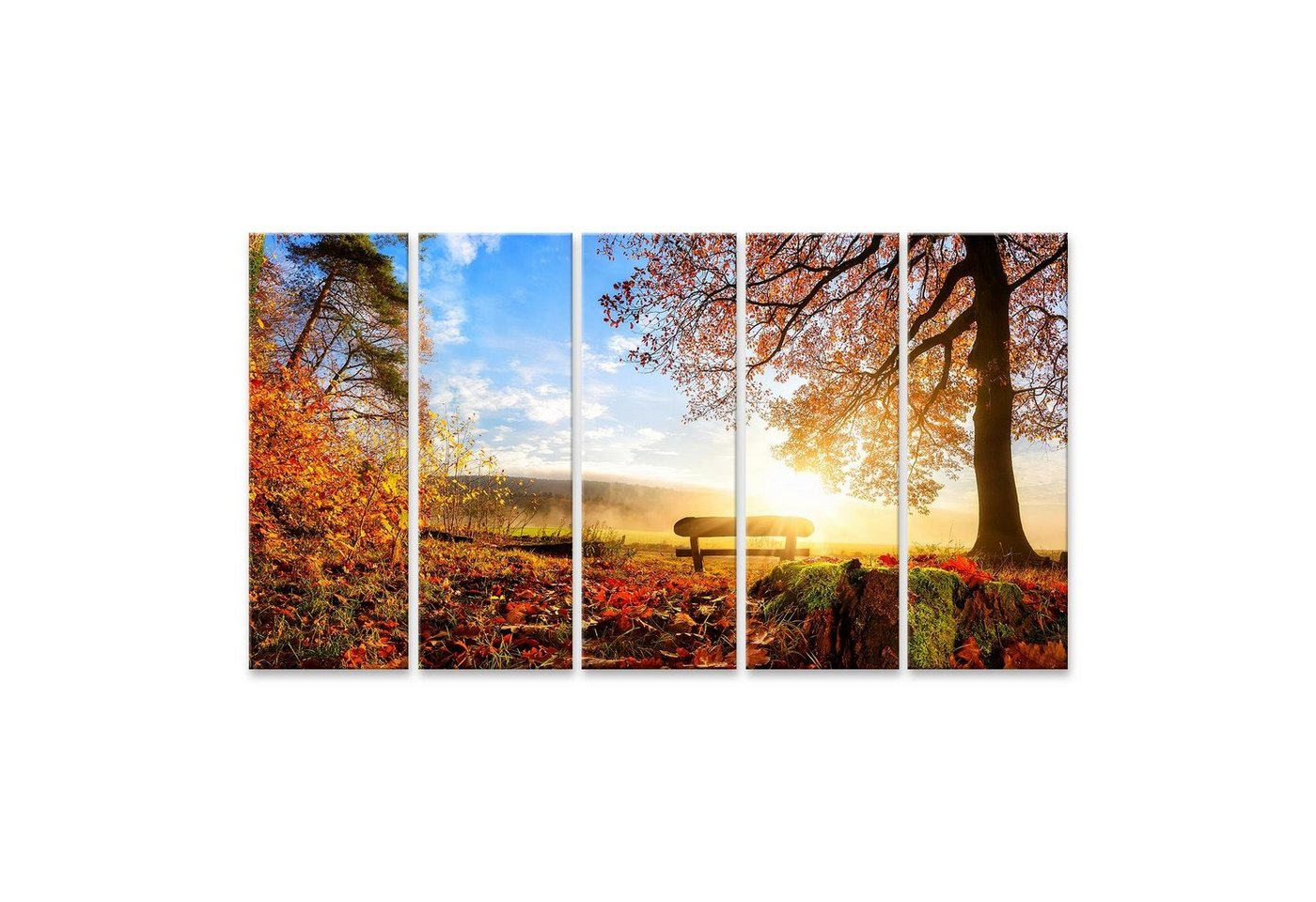 islandburner Leinwandbild Bild auf Leinwand Herbstlandschaft mit der Sonne, die eine Bank unter von islandburner