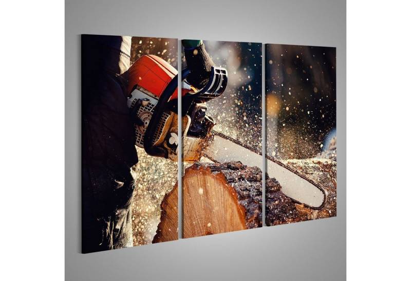 islandburner Leinwandbild Bild auf Leinwand Kettensäge Holzfäller Sägt Baum Mit Einer Kettensäge von islandburner