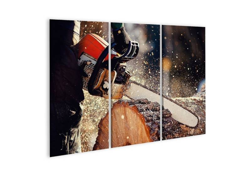 islandburner Leinwandbild Bild auf Leinwand Kettensäge Holzfäller sägt Baum mit einer Kettensäge von islandburner