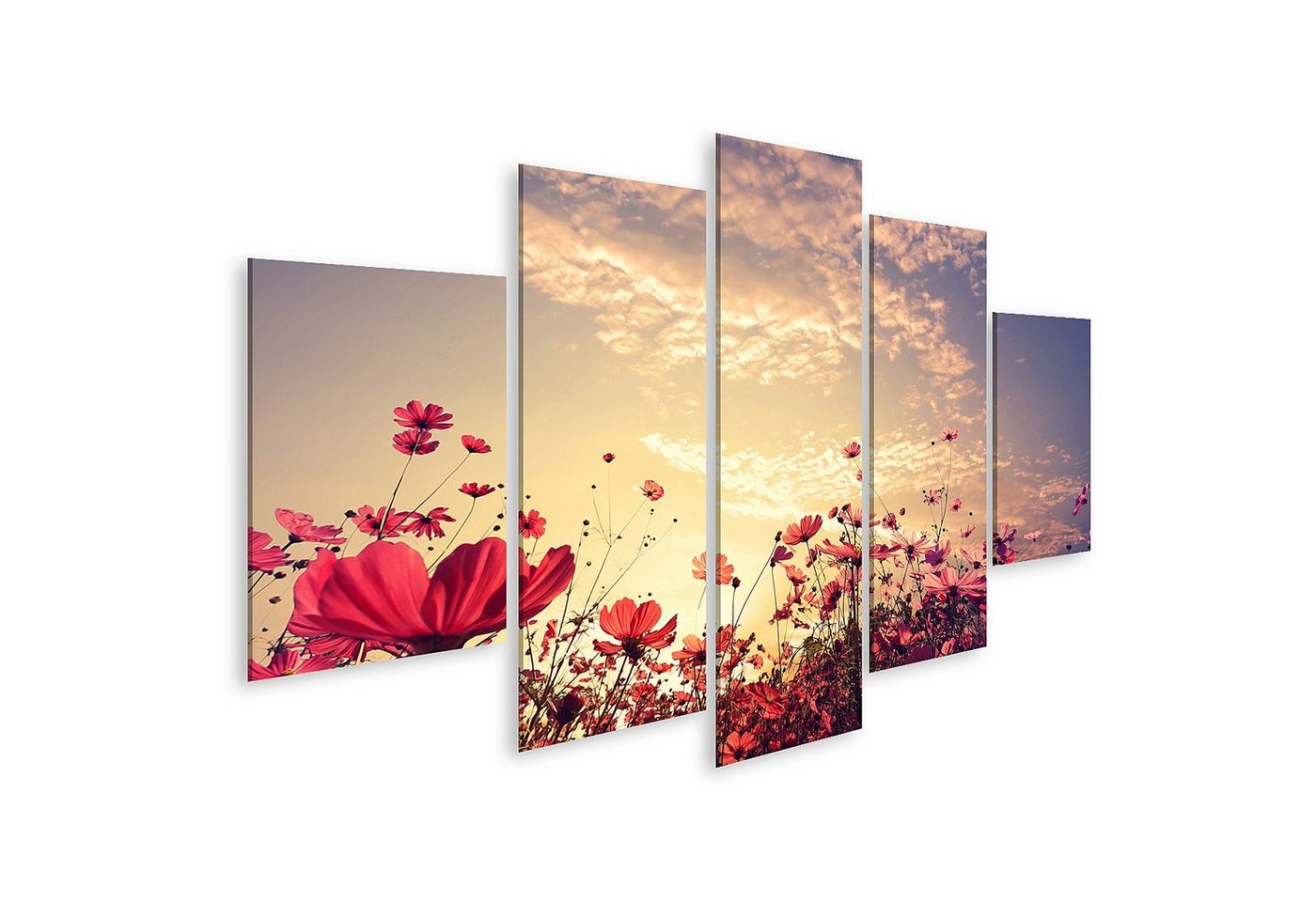 islandburner Leinwandbild Bild auf Leinwand Landschaft Natur Hintergrund der schönen rosa und ro von islandburner
