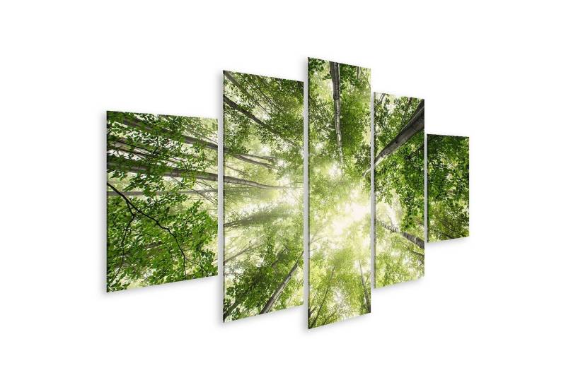 islandburner Leinwandbild Bild auf Leinwand Schöne Natur Morgen Nebligen Frühling Wald Sonne Grü islandburner Leinwandbild Bild auf Leinwand Schöne Natur Morgen Nebligen Frühling Wald Sonne Grü von islandburner
