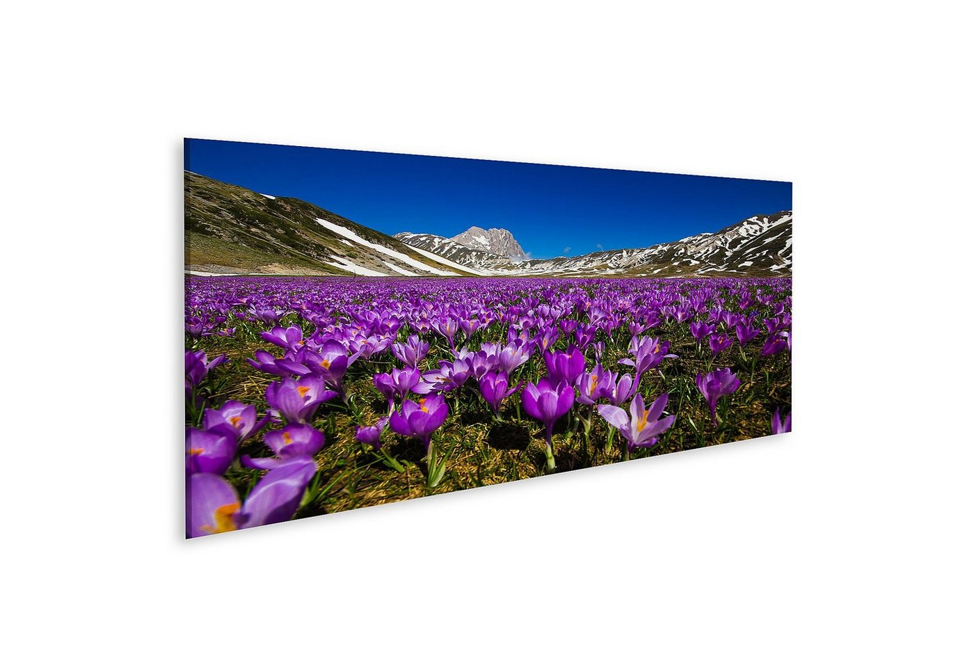 islandburner Leinwandbild Bild auf Leinwand Teppich Wilder Berg Krokusblüten Campo Imperatore Ab von islandburner