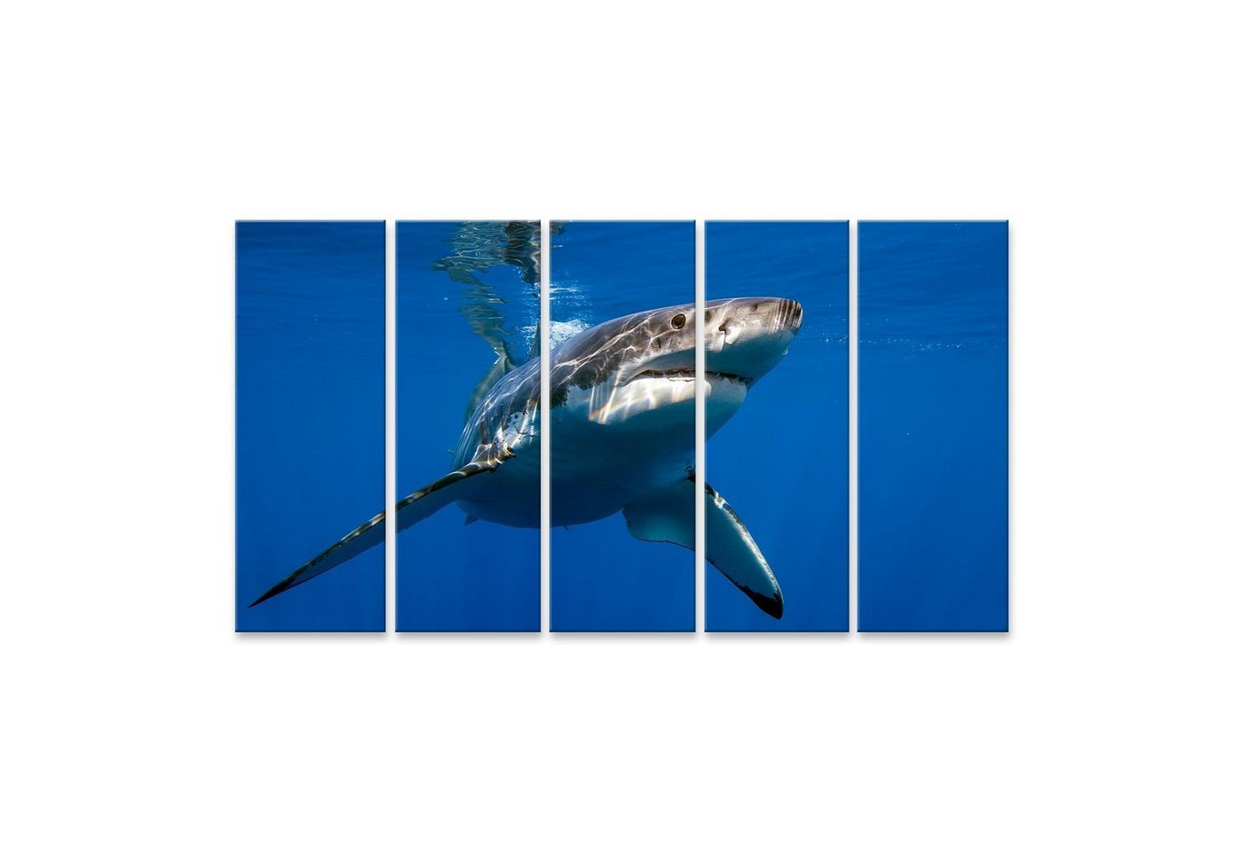 islandburner Leinwandbild Bild auf Leinwand Weißer Hai Während Kommen Um Dich Auf Tiefen Blauen von islandburner