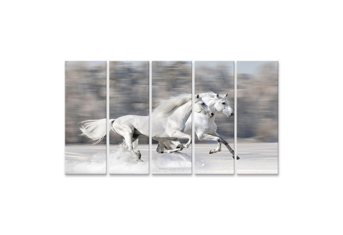 islandburner Leinwandbild Bild auf Leinwand Zwei weiße Pferde Winterlauf Galopp Wandbild Poster von islandburner