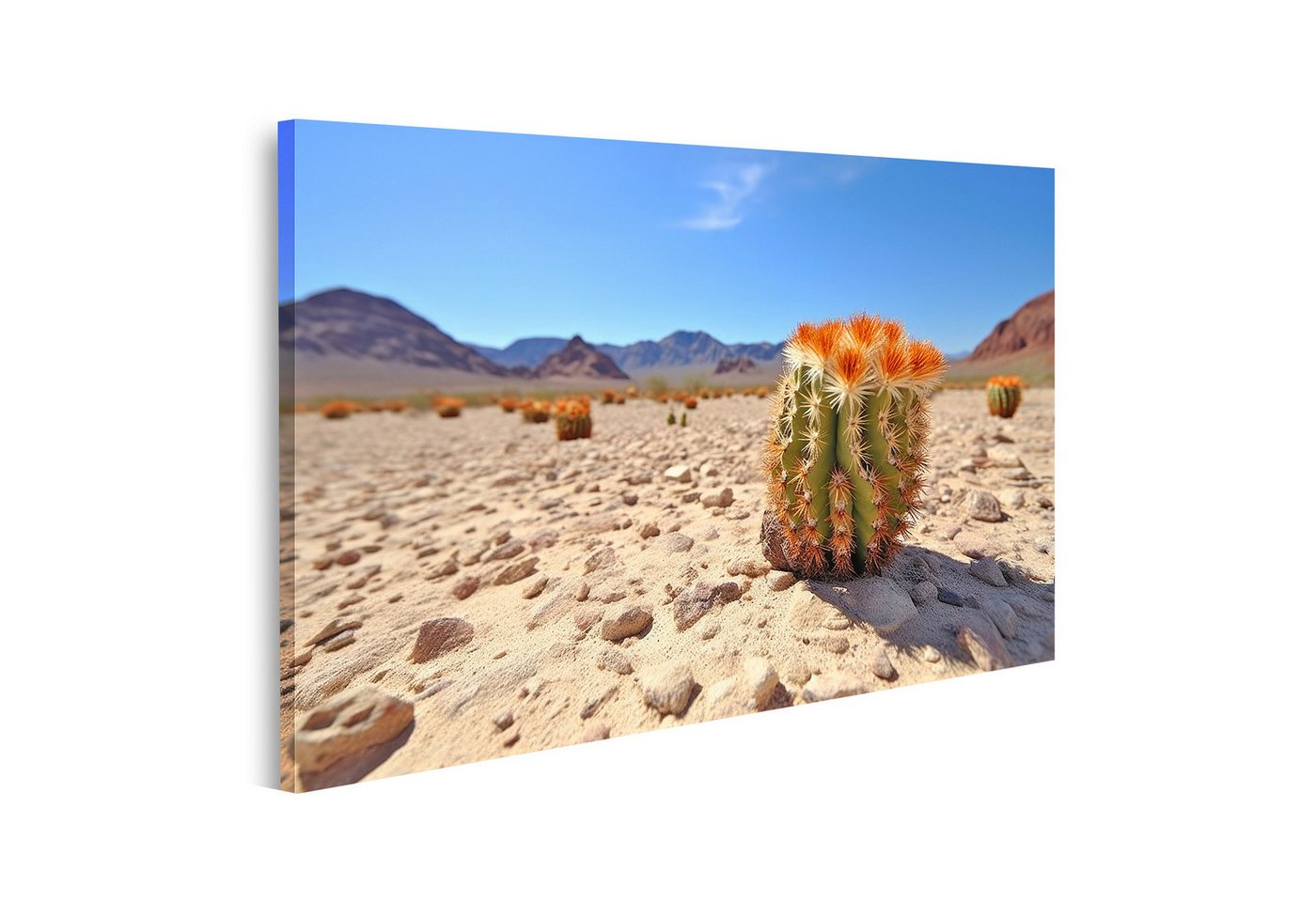 islandburner Leinwandbild Blühender Kaktus vor Wüstenlandschaft A Bilder von islandburner