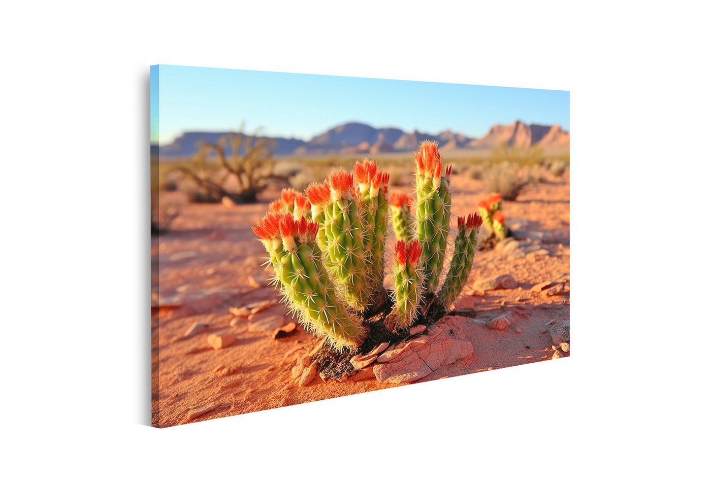 islandburner Leinwandbild Blühender Kaktus vor Wüstenlandschaft Bilder von islandburner