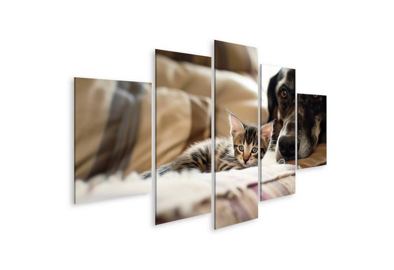 islandburner Leinwandbild Ein kleines Kätzchen entspannt auf einer Couch, neben einem Hundekopf islandburner Leinwandbild Ein kleines Kätzchen entspannt auf einer Couch, neben einem Hundekopf von islandburner