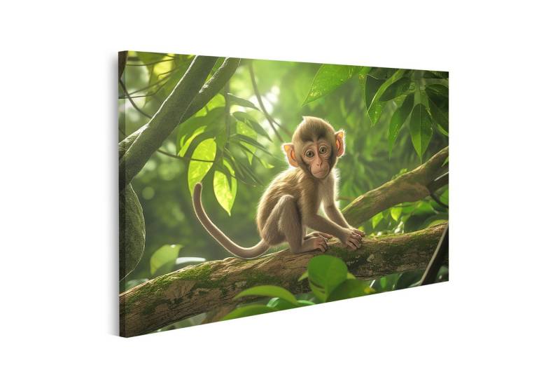 islandburner Leinwandbild Junger Affe im Dschungel auf einem Ast sitzend und umgeben von Blätter islandburner Leinwandbild Junger Affe im Dschungel auf einem Ast sitzend und umgeben von Blätter von islandburner