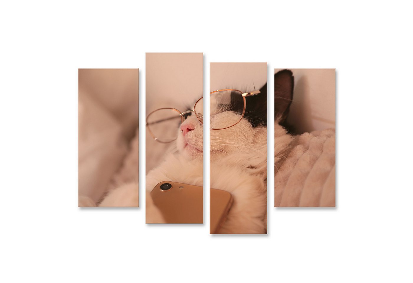 islandburner Leinwandbild Katze Mit Brille Schläft Mit Telefon Entspannt Auf Kissen Wandbild islandburner Leinwandbild Katze Mit Brille Schläft Mit Telefon Entspannt Auf Kissen Wandbild von islandburner