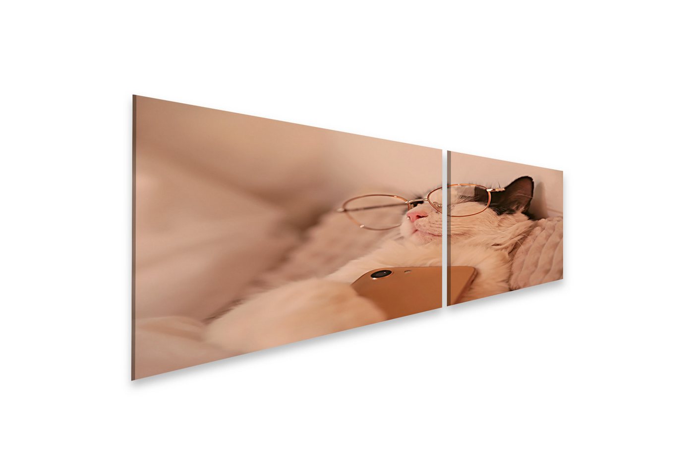 islandburner Leinwandbild Katze Mit Brille Schläft Mit Telefon Entspannt Auf Kissen Wandbild islandburner Leinwandbild Katze Mit Brille Schläft Mit Telefon Entspannt Auf Kissen Wandbild von islandburner