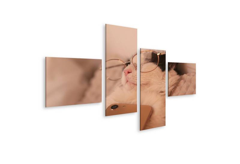 islandburner Leinwandbild Katze Mit Brille Schläft Mit Telefon Entspannt Auf Kissen Wandbild von islandburner