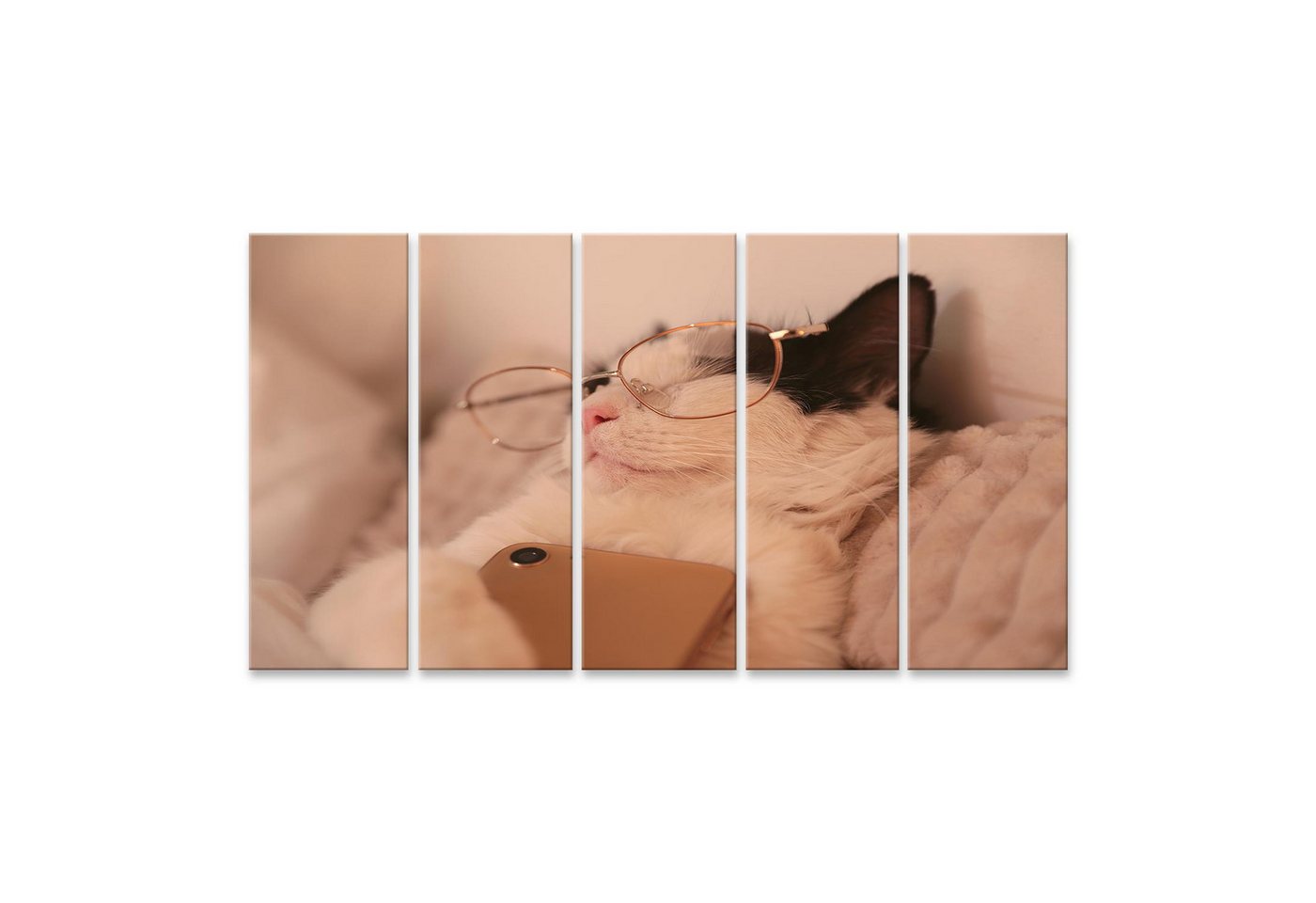 islandburner Leinwandbild Katze Mit Brille Schläft Mit Telefon Entspannt Auf Kissen Wandbild islandburner Leinwandbild Katze Mit Brille Schläft Mit Telefon Entspannt Auf Kissen Wandbild von islandburner