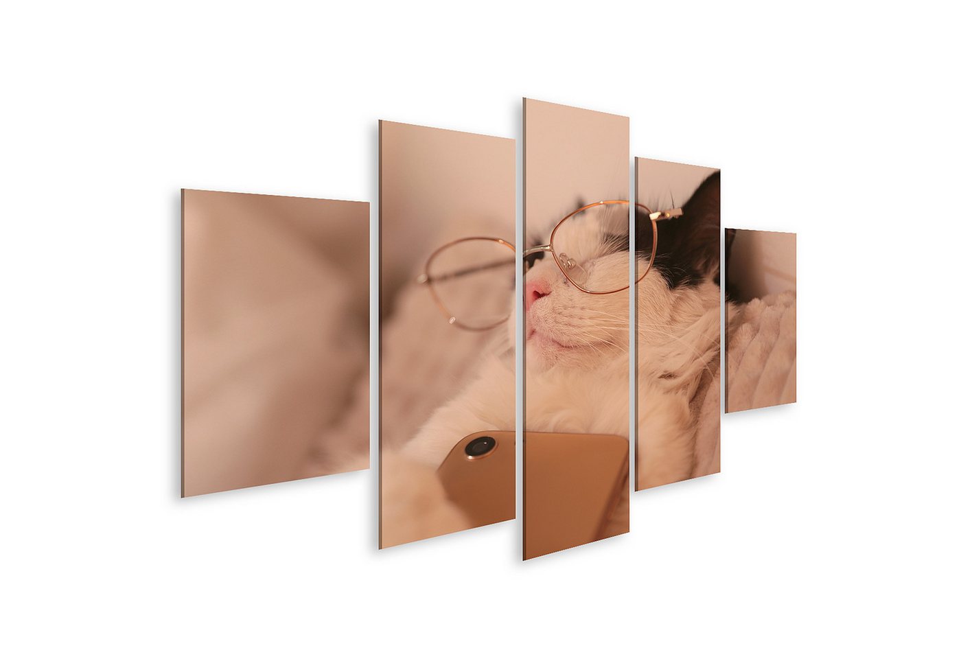 islandburner Leinwandbild Katze Mit Brille Schläft Mit Telefon Entspannt Auf Kissen Wandbild islandburner Leinwandbild Katze Mit Brille Schläft Mit Telefon Entspannt Auf Kissen Wandbild von islandburner