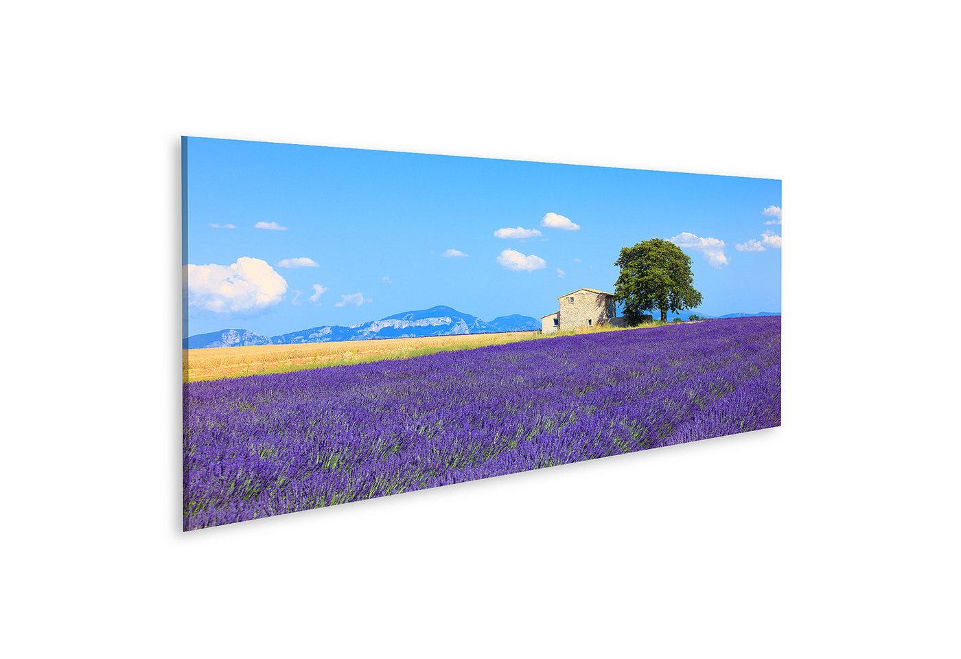 islandburner Leinwandbild Lavendelblüten Blühendes Feld Haus Baum Provence Franc Weize Bilder von islandburner