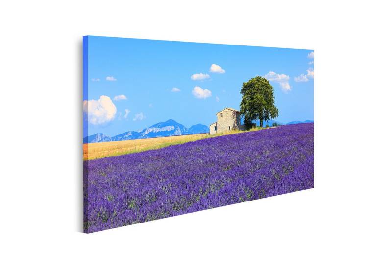 islandburner Leinwandbild Lavendelblüten Blühendes Feld Haus Baum Provence Franc Weize Bilder von islandburner