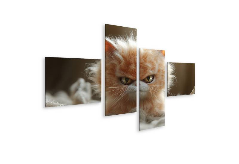 islandburner Leinwandbild Niedliches Gekritzeltes Kätzchen mit Zerzaustem Fell von islandburner