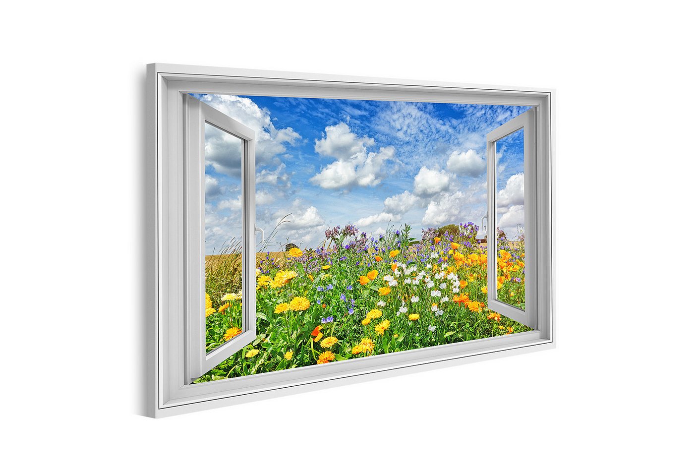 islandburner Leinwandbild Offenes Fenster mit Blick auf eine bunte Blumenwiese unter blauem Himm islandburner Leinwandbild Offenes Fenster mit Blick auf eine bunte Blumenwiese unter blauem Himm von islandburner