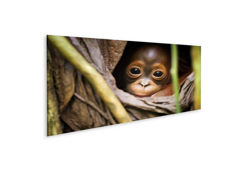 islandburner Leinwandbild Orang Utan Baby Hält Sich Am Fell Seiner Eltern Fest Dichter Bilder islandburner Leinwandbild Orang Utan Baby Hält Sich Am Fell Seiner Eltern Fest Dichter Bilder von islandburner