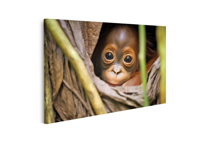 islandburner Leinwandbild Orang Utan Baby Hält Sich Am Fell Seiner Eltern Fest Dichter Bilder islandburner Leinwandbild Orang Utan Baby Hält Sich Am Fell Seiner Eltern Fest Dichter Bilder von islandburner