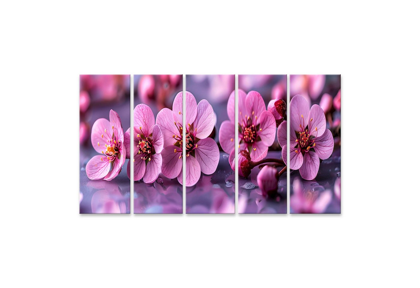 islandburner Leinwandbild Sakura-Blütenfest-Wandbild: Frühlingseintritt zur Tag-Nacht-Gleiche Wo von islandburner