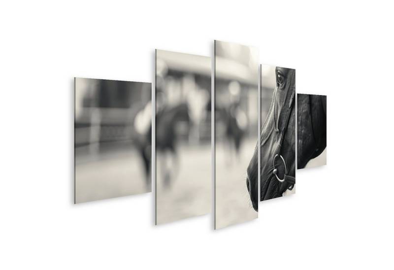 islandburner Leinwandbild Schwarz-weiß Fotografie zeigt Nahaufnahme eines Pferdegesichts, R islandburner Leinwandbild Schwarz-weiß Fotografie zeigt Nahaufnahme eines Pferdegesichts, R von islandburner