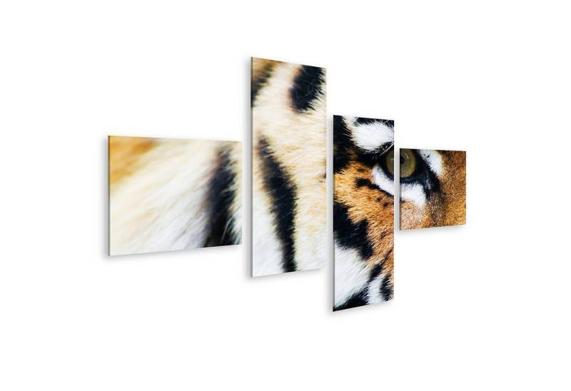 islandburner Leinwandbild Tiger Nahaufnahme Close Up Fell Bilder von islandburner