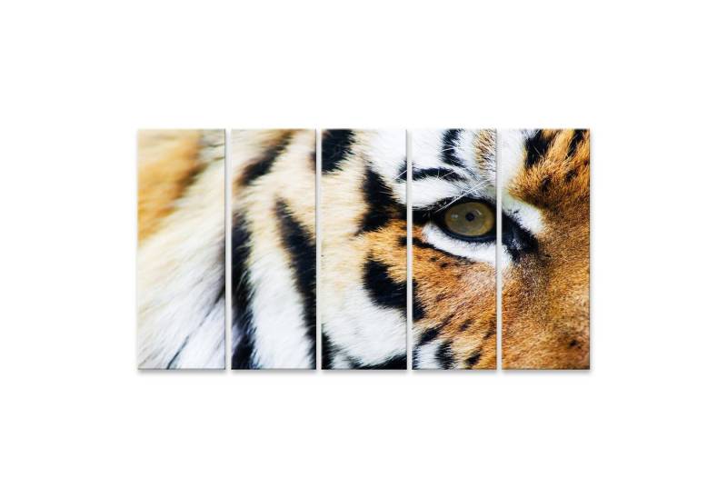 islandburner Leinwandbild Tiger Nahaufnahme Close Up Fell Bilder von islandburner