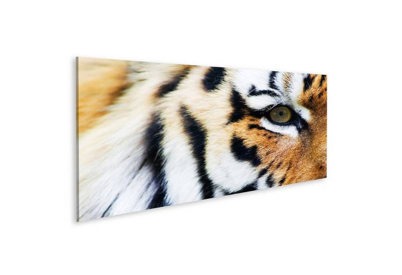 islandburner Leinwandbild Tiger Nahaufnahme Close Up Fell Bilder von islandburner