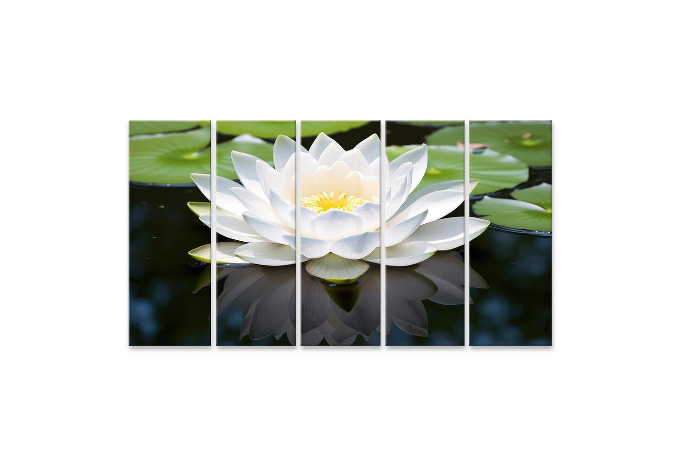 islandburner Leinwandbild Weiße Lotusblume öffnet einen ruhigen Teich Bilder von islandburner