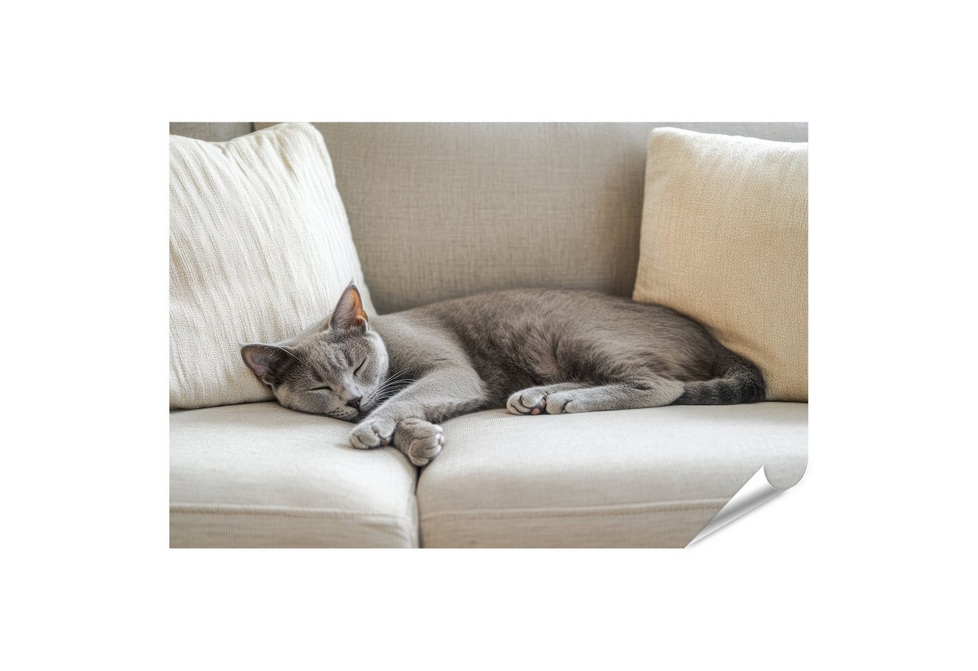 islandburner Poster, Graue Katze schläft gemütlich auf Sofa islandburner Poster, Graue Katze schläft gemütlich auf Sofa von islandburner