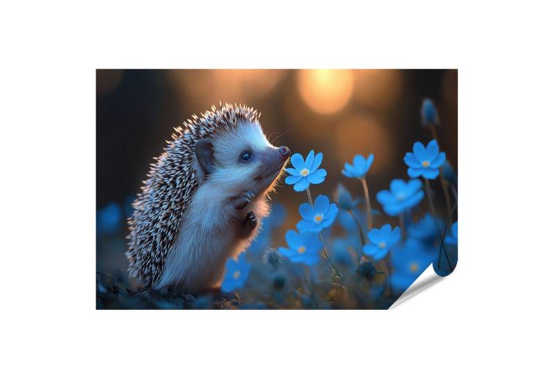 islandburner Poster, Igel riecht Blumen im Abendlicht islandburner Poster, Igel riecht Blumen im Abendlicht von islandburner