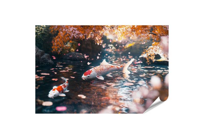 islandburner Poster, Koi Fische in einem herbstlichen Teich mit fallenden Blättern von islandburner