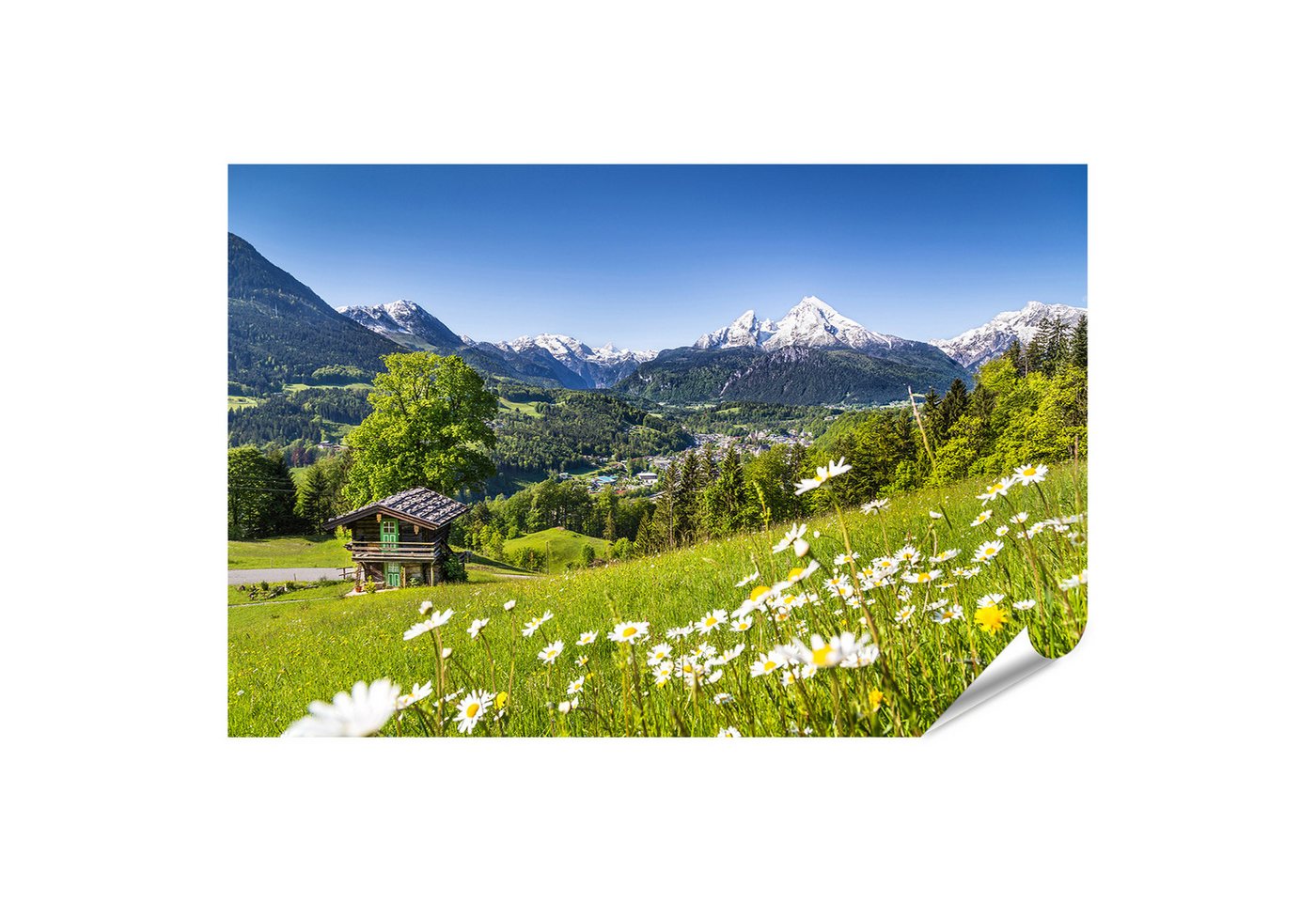 islandburner Poster Berghütte mit Blumen und Alpenpanorama im Frühling Wandbild islandburner Poster Berghütte mit Blumen und Alpenpanorama im Frühling Wandbild von islandburner