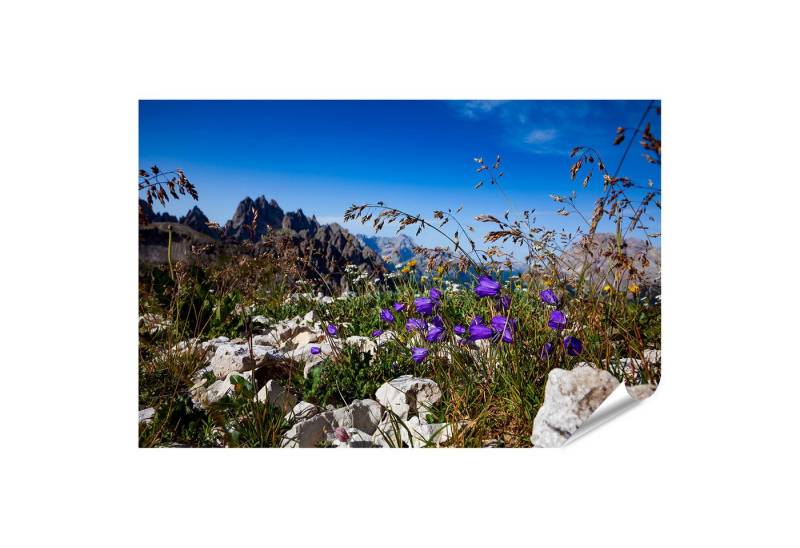 islandburner Poster Bergwiese mit blauen Blumen und felsigen Gipfeln im Hintergrund islandburner Poster Bergwiese mit blauen Blumen und felsigen Gipfeln im Hintergrund von islandburner